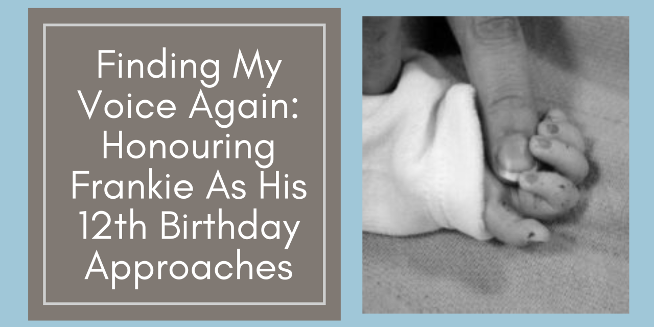 Finding My Voice Again: Honouring Frankie As His 12th Birthday Approaches